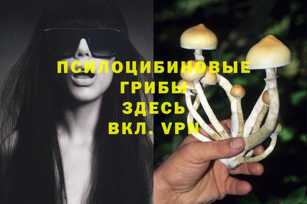 каннабис Алексеевка